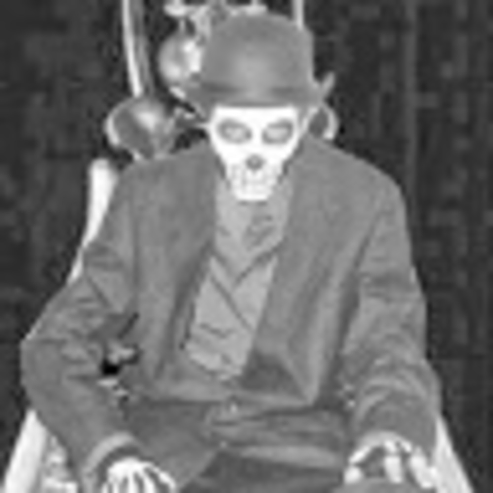 Meet your Posher, Raven